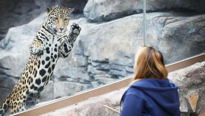 El Paso Zoo